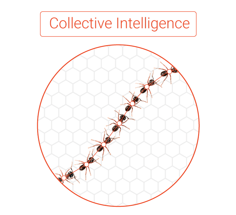 Collective Intelligence Marketing